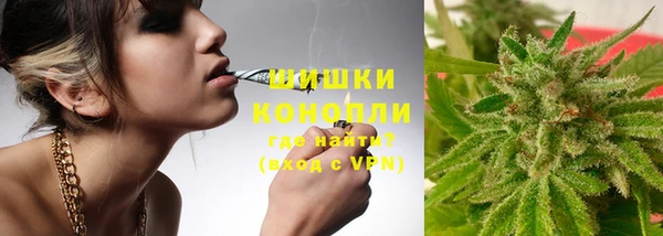 индика Баксан