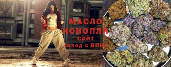 индика Баксан