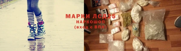 индика Баксан
