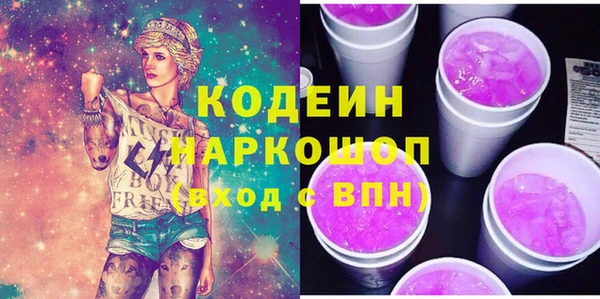 индика Баксан