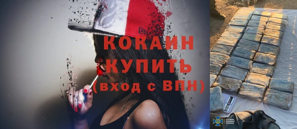 индика Баксан
