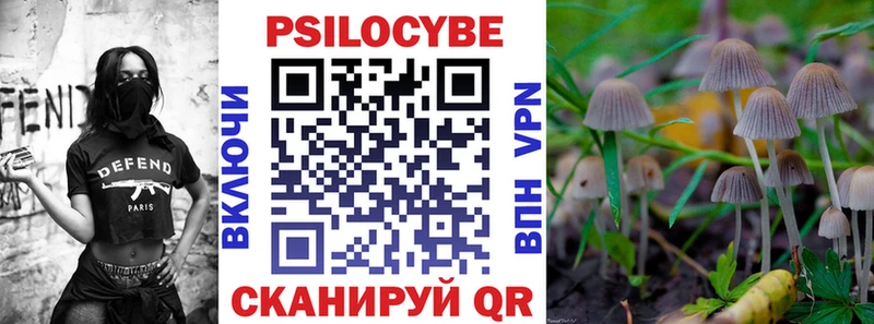как найти закладки  Сосенский  Псилоцибиновые грибы Psilocybe 
